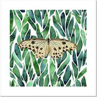 Vintage Butterfly Pattern Posters and Art